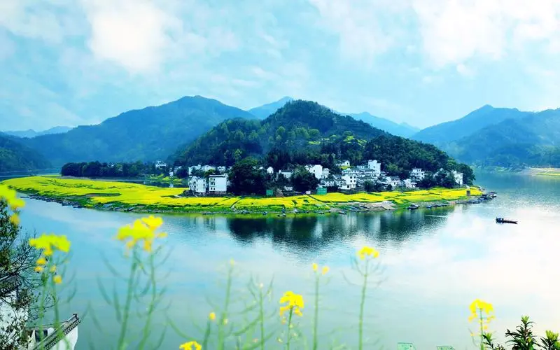 创新自动化高端